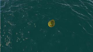 6 Schermata Plastic Duck Simulator