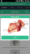 Muscle Anatomy Reference Guide スクリーンショット 5