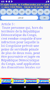 Code pénal RDC captura de pantalla 5