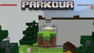 Block World Craft Affiche