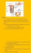 Biology Notes screenshot 7