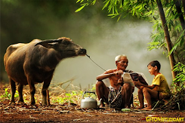 Kamera V9 স্ক্রিনশট 3