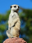 Sound Touch 2 captura de pantalla 6