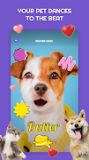 PetStar 스크린샷 4