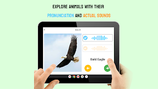 Learn Animals: Images & Sounds スクリーンショット 6