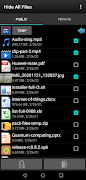 Hide All Files Plakat
