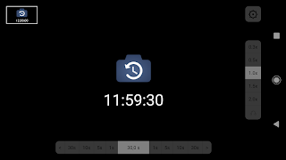 Delayed Camera โปสเตอร์