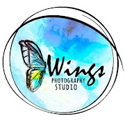 Wings photography poster