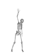 Dancing Bones syot layar 1