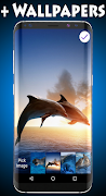 Dolphins Wallpapers & Lock screenshot 2