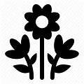 flowers wallpapers