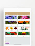 Blooming Screenshot 6