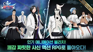 1 Schermata 블리치 - 사신 격투