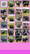 برنامه‌نما Buffalo Memory Game عکس از صفحه