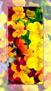 برنامه‌نما کاغذ دیواری گل عکس از صفحه
