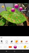 Photo Editor Lab screenshot 2