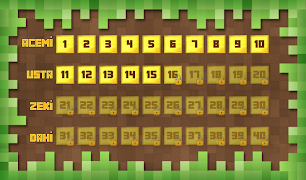 برنامه‌نما MineBlock عکس از صفحه