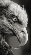 Eagle Lock Screen Wallpapers Plakat