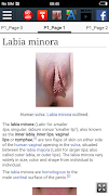 Labia Minora : Educational App screenshot 2