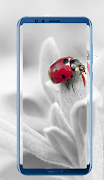 White Wallpapers screenshot 2