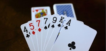 Rummy Tips and Rules ảnh chụp màn hình 2