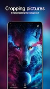 Wolf Wallpapers 4K screenshot 3