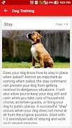 Dog Training screenshot 1