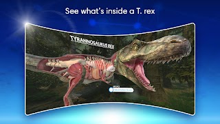 DK Virtual Reality ảnh chụp màn hình 3