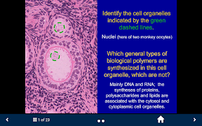 Basic Tissues Ekran Görüntüsü 6