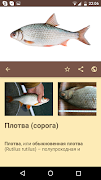 Guide angler screenshot 3