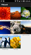 FileLock Ekran Görüntüsü 1
