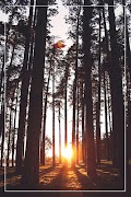Borderly স্ক্রিনশট 3