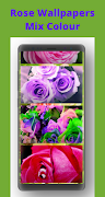 برنامه‌نما Rose Wallpaper عکس از صفحه