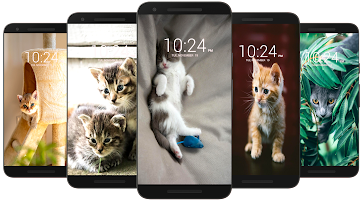 Cat Wallpaper HD captura de pantalla 1