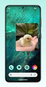 Video Widget & GIF Widget captura de pantalla 5
