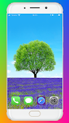 Tree Wallpaper HD 截圖 5