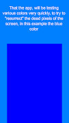 Repariere Tote Pixel Screenshot 2
