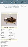 Bugs screenshot 4