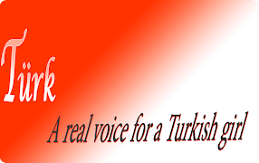 Learn Turkish screenshot 5