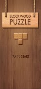 BLOCK PUZZLE PRO ポスター