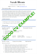 CV Examples: PDF CV Templates screenshot 1