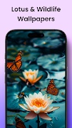 Lotus Wallpapers ภาพหน้าจอ 4