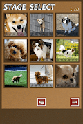 Swapping Dog Puzzle Ekran Görüntüsü 5