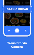 Sync Translate: Voice & Camera screenshot 3