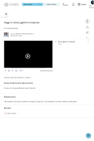 C1DO1 screenshot 5