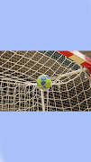 Hand Ball Lovers الملصق