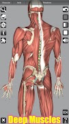 3D Anatomy screenshot 7