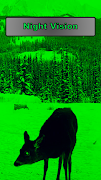 Night vision camera simulation الملصق