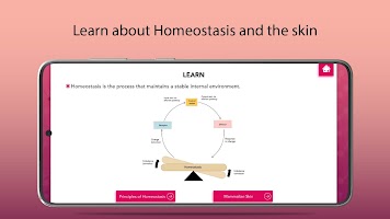 Homeostasis Biology captura de pantalla 1