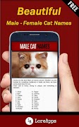 Cat Care Tips: Cat Names screenshot 4